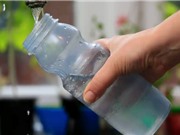 Độc tố môi trường đang làm trầm trọng thêm đại dịch béo phì